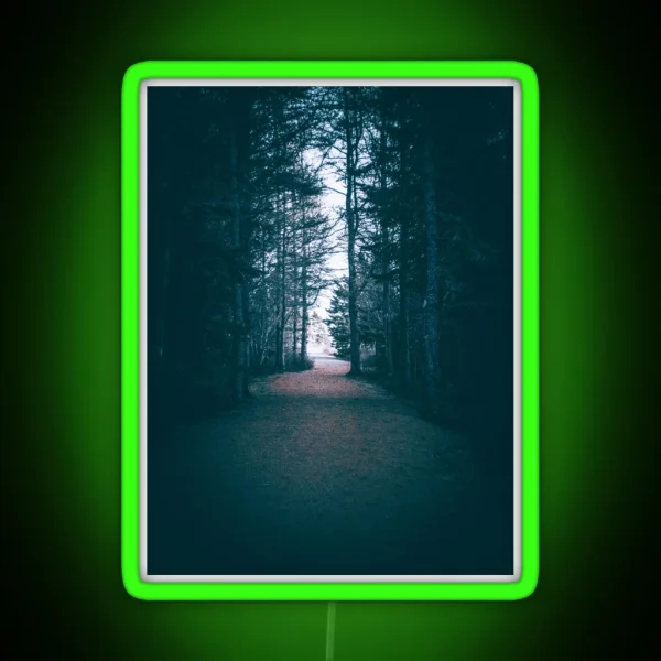 From Darkness To Light Forest Trail V1 RGB Neon Sign