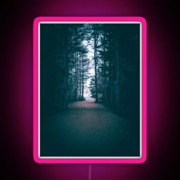 From Darkness To Light Forest Trail V1 RGB Neon Sign