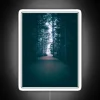 Whimsical forest trail ambiance with vibrant RGB neon signage