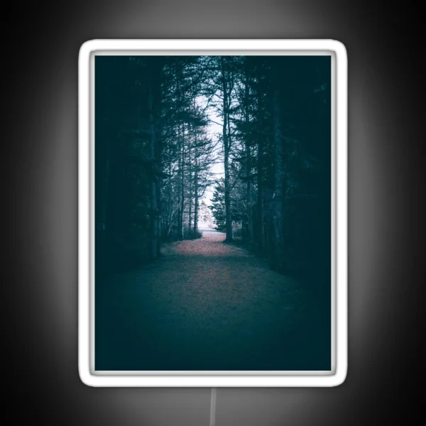 From Darkness To Light Forest Trail V1 RGB Neon Sign