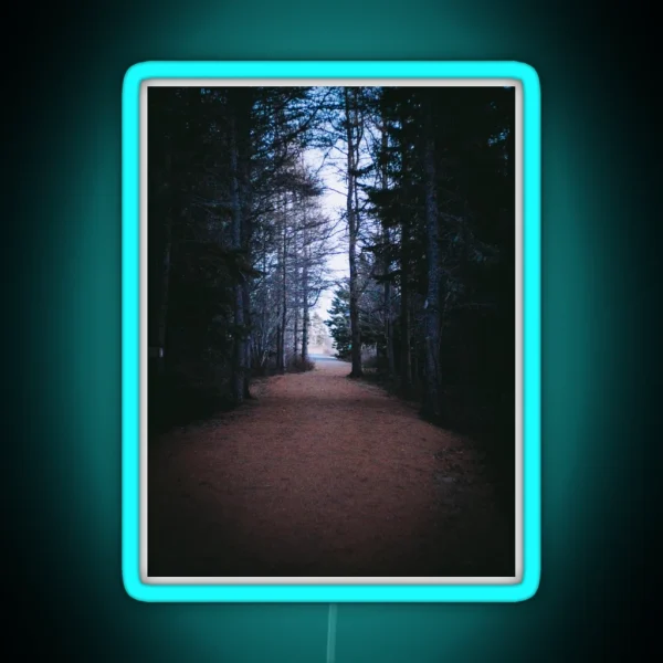From Darkness To Light Forest Trail V2 RGB Neon Sign