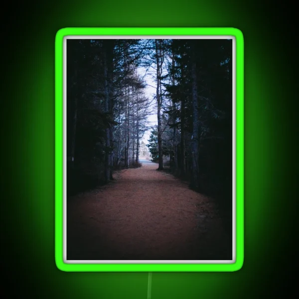 From Darkness To Light Forest Trail V2 RGB Neon Sign