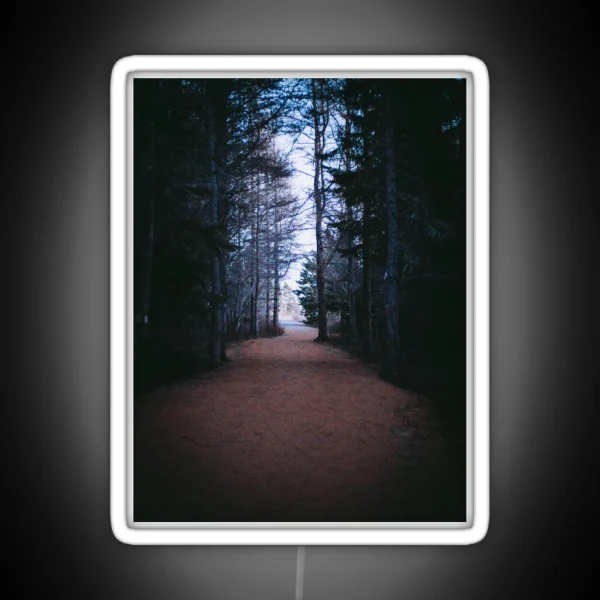 From Darkness To Light Forest Trail V2 RGB Neon Sign