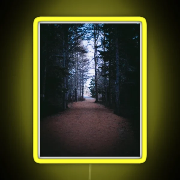 From Darkness To Light Forest Trail V2 RGB Neon Sign