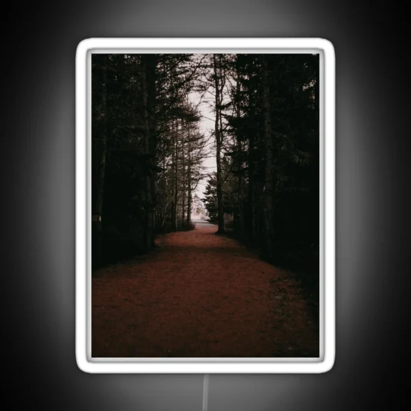 From Darkness To Light Forest Trail V3 RGB Neon Sign
