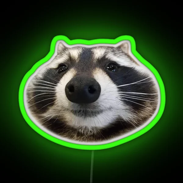 Funny Boy RGB Neon Sign
