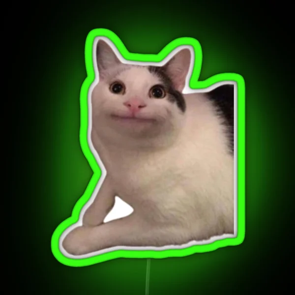 Funny Cat Led RGB Neon Sign