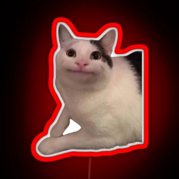 Funny Cat Led RGB Neon Sign