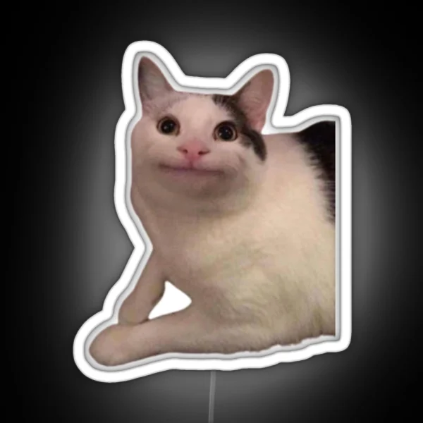 Funny Cat Led RGB Neon Sign