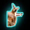 Retro LED Neon Sign with Funny Kangaroo Aussie Meme Quote Design