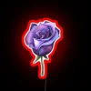 Soft Glow Galaxy Rose Color Changing LED Neon Wall Decoration Sign