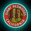 Vintage travel-inspired decal featuring giant redwoods of California in glow.