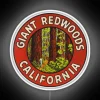 Vintage California Travel Decor - Giant Redwoods Colorful Neon Sign