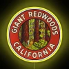 Giant Redwoods of California Inspired Vintage Retro Decorative Neon Sign