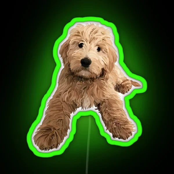 Gimme That Doodle RGB Neon Sign