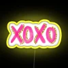 RGB Neon XOXO Sign with Gold Accents for Home Decor