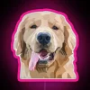 Shine Bright with this Vibrant Neon Dog Lover's Decorative Sign