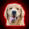 Golden Retriever Breed Iconic Dog Lovers Home Decor Wall Sign