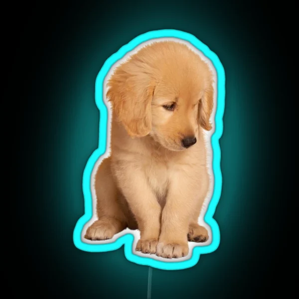 Golden Retriever RGB Neon Sign