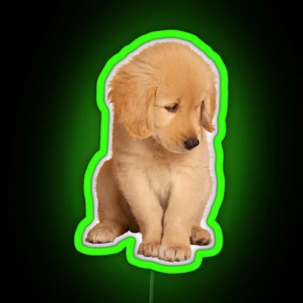 Golden Retriever RGB Neon Sign
