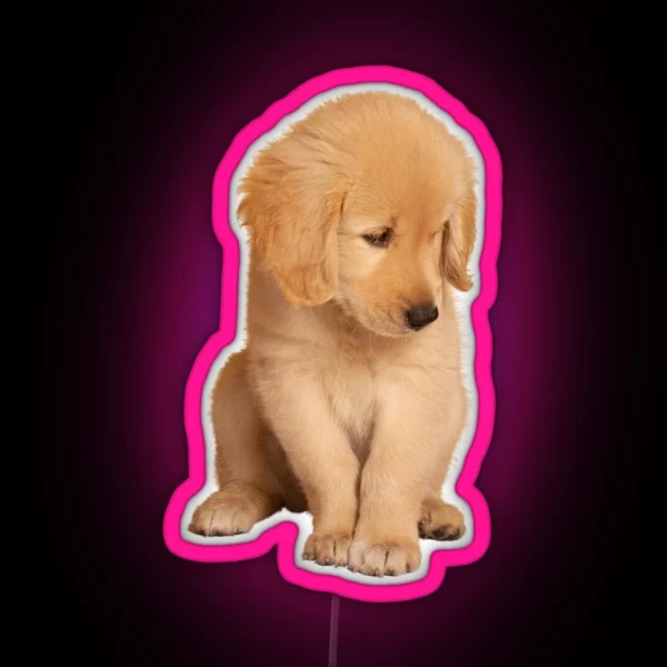 Golden Retriever RGB Neon Sign