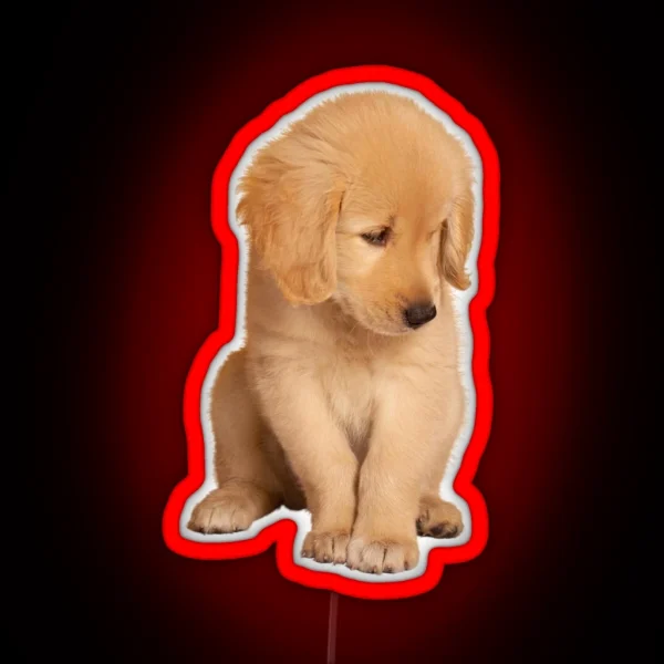 Golden Retriever RGB Neon Sign