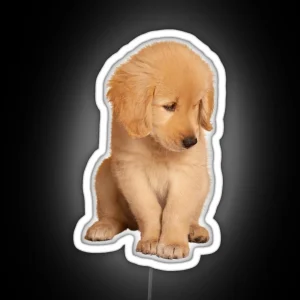 Golden Retriever RGB Neon Sign