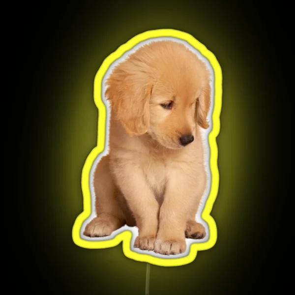Golden Retriever RGB Neon Sign