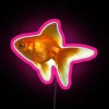 Dreamy aquatic scene glow with vibrant colorful goldfish aero led