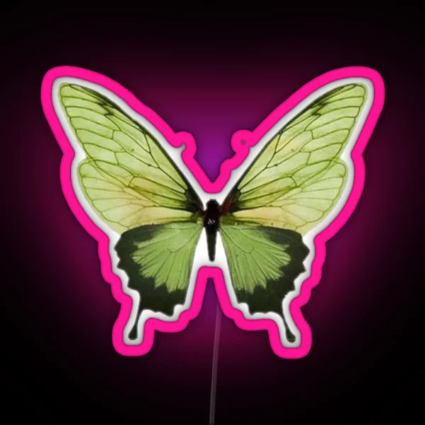 Green Butterfly RGB Neon Sign