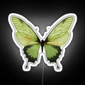 Green Butterfly RGB Neon Sign