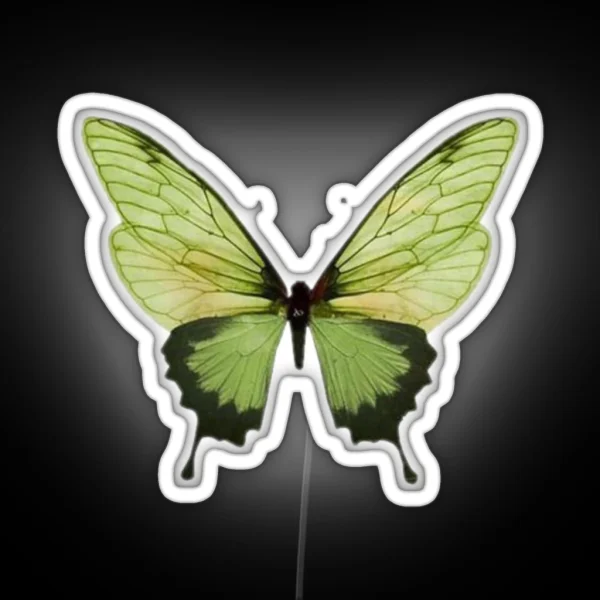 Green Butterfly RGB Neon Sign