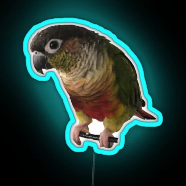 Green Cheek Conure Design Conure Small Parrot RGB Neon Sign