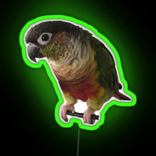 Green Cheek Conure Design Conure Small Parrot RGB Neon Sign