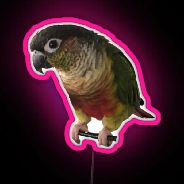 Green Cheek Conure Design Conure Small Parrot RGB Neon Sign