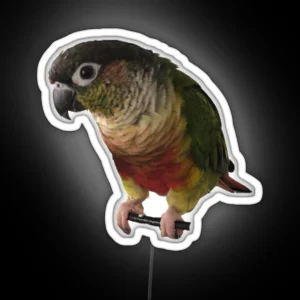 Green Cheek Conure Design Conure Small Parrot Parakeet Parrot Lover RGB Neon Sign