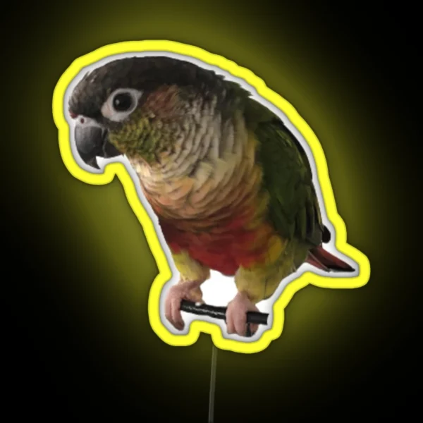 Green Cheek Conure Design Conure Small Parrot RGB Neon Sign