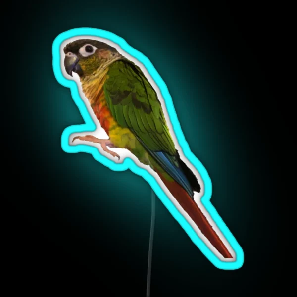 Green Cheek Conure Design Conure Small Parrot Parakeet RGB Neon Sign