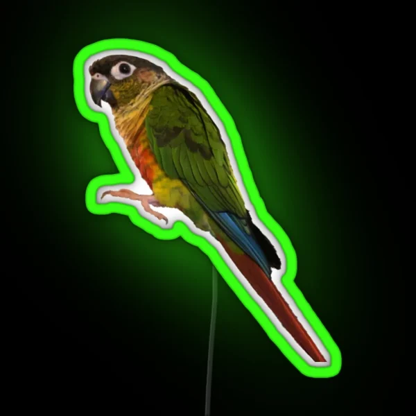 Green Cheek Conure Design Conure Small Parrot Parakeet RGB Neon Sign