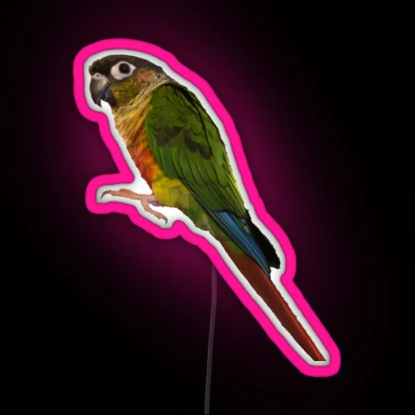 Green Cheek Conure Design Conure Small Parrot Parakeet RGB Neon Sign