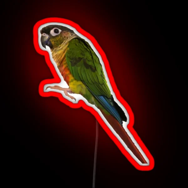 Green Cheek Conure Design Conure Small Parrot Parakeet RGB Neon Sign