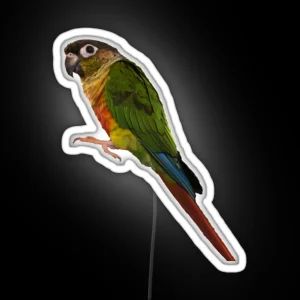 Green Cheek Conure Design Conure Small Parrot Parakeet Parrot Lover RGB Neon Sign