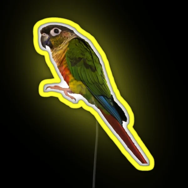 Green Cheek Conure Design Conure Small Parrot Parakeet RGB Neon Sign