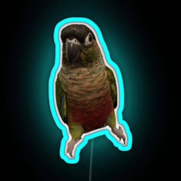 Green Cheek Conure Design Conure Small Parrot RGB Neon Sign
