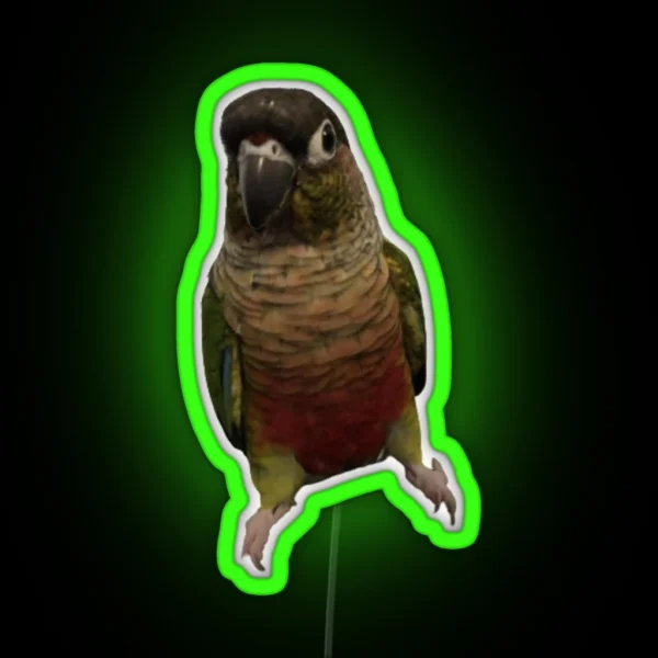 Green Cheek Conure Design Conure Small Parrot RGB Neon Sign