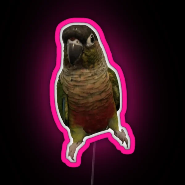 Green Cheek Conure Design Conure Small Parrot RGB Neon Sign