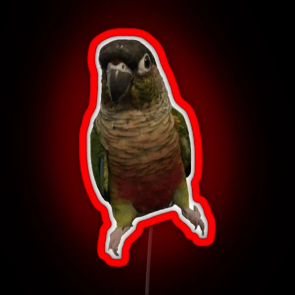 Green Cheek Conure Design Conure Small Parrot RGB Neon Sign