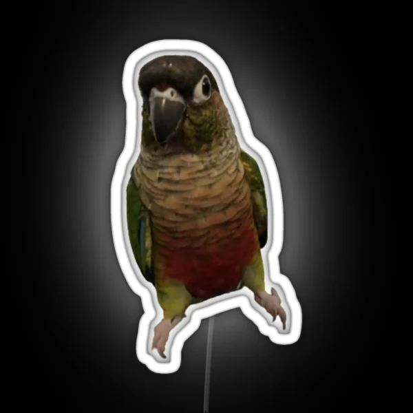 Green Cheek Conure Design Conure Small Parrot RGB Neon Sign