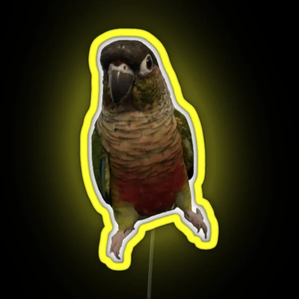 Green Cheek Conure Design Conure Small Parrot RGB Neon Sign