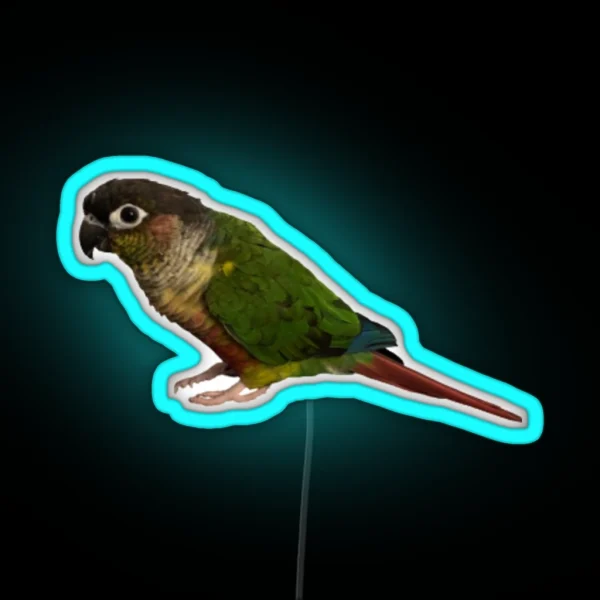Green Cheek Conure Design Conure Small Parrot Parakeet RGB Neon Sign